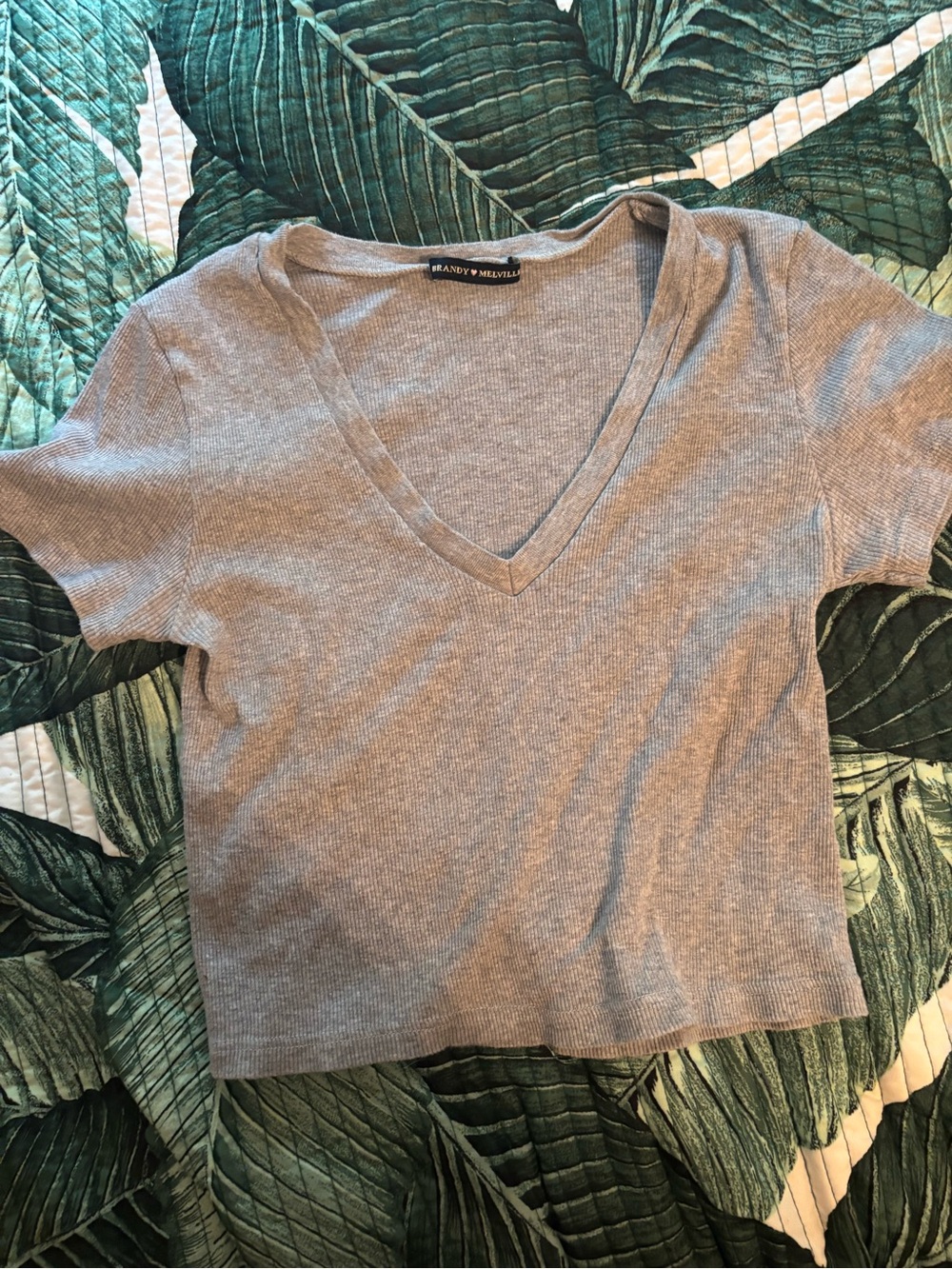 Brandy Melville gray Ribbed V-Neck Short Sleeve Top